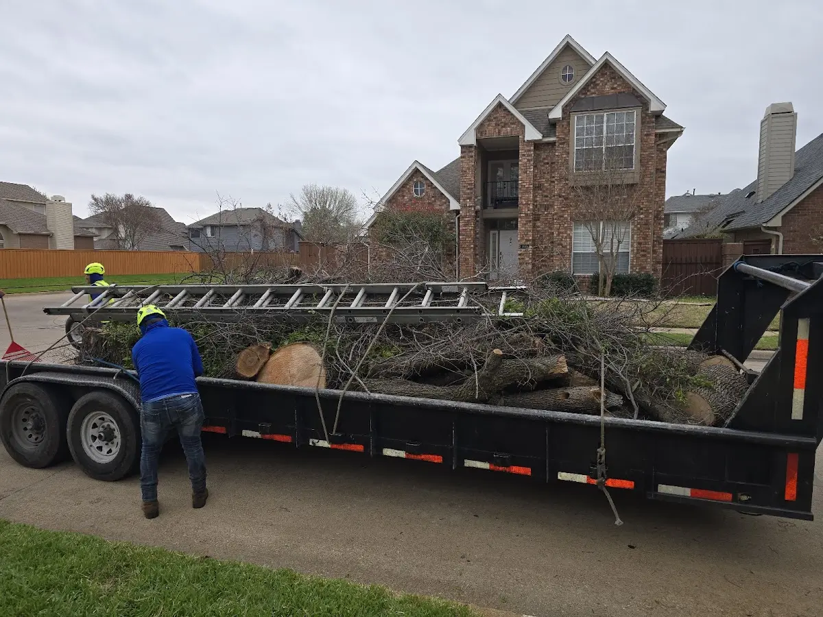 Expert Lot Clearing with proper safety equipment in Ledger